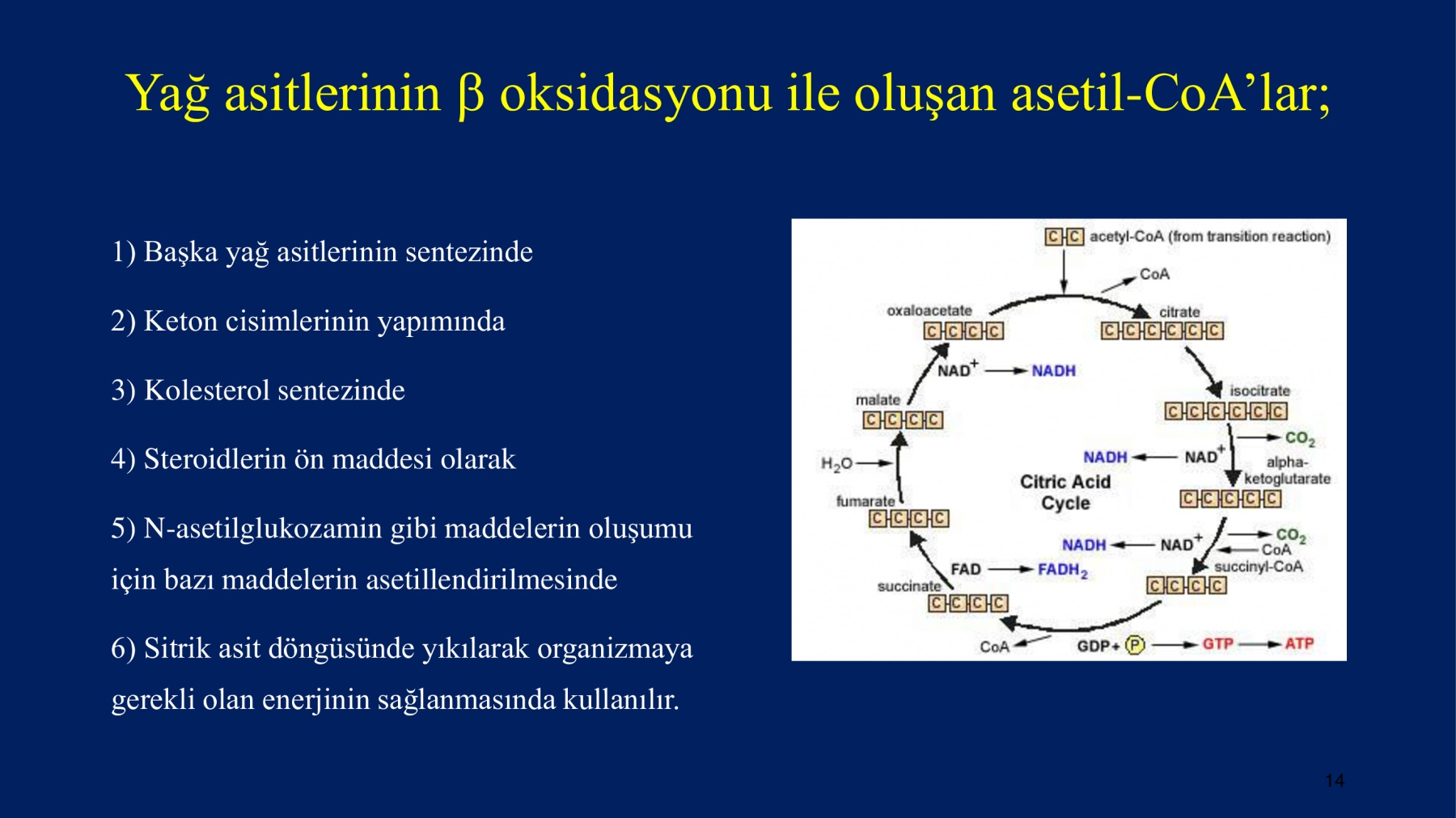 Erkek İnfertilitesinde Proxeed Plus