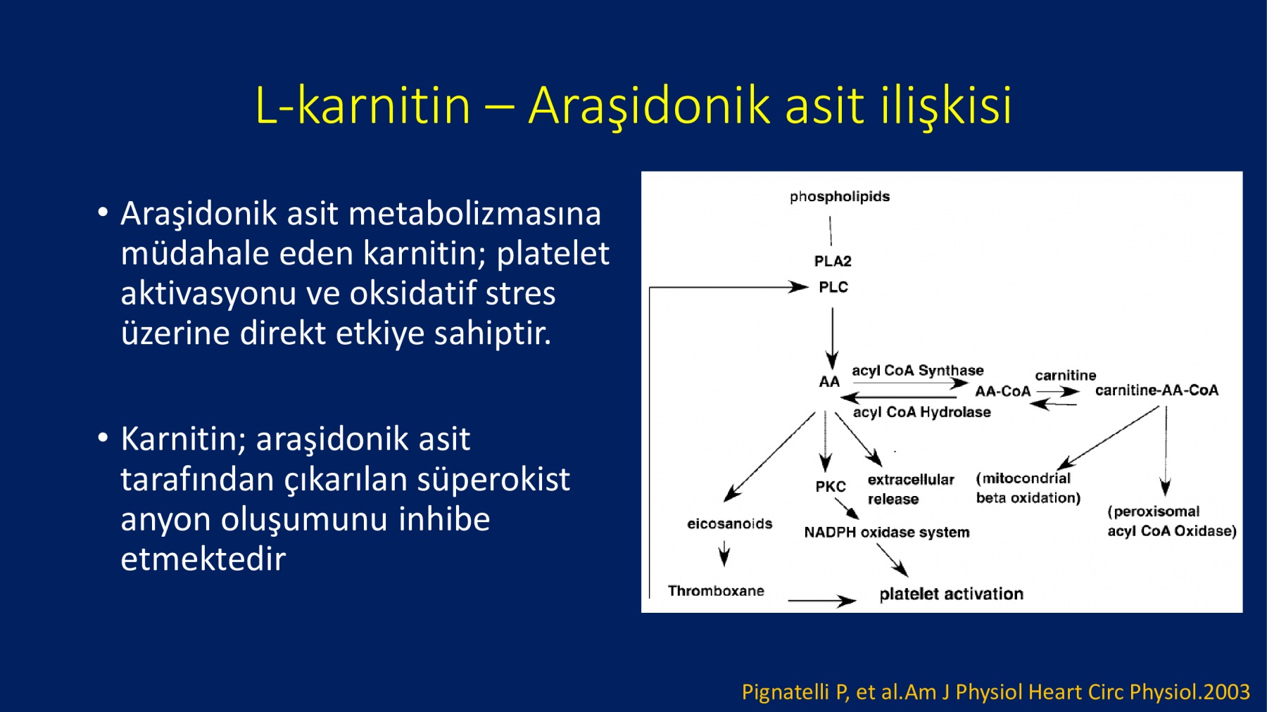 Erkek İnfertilitesinde Proxeed Plus