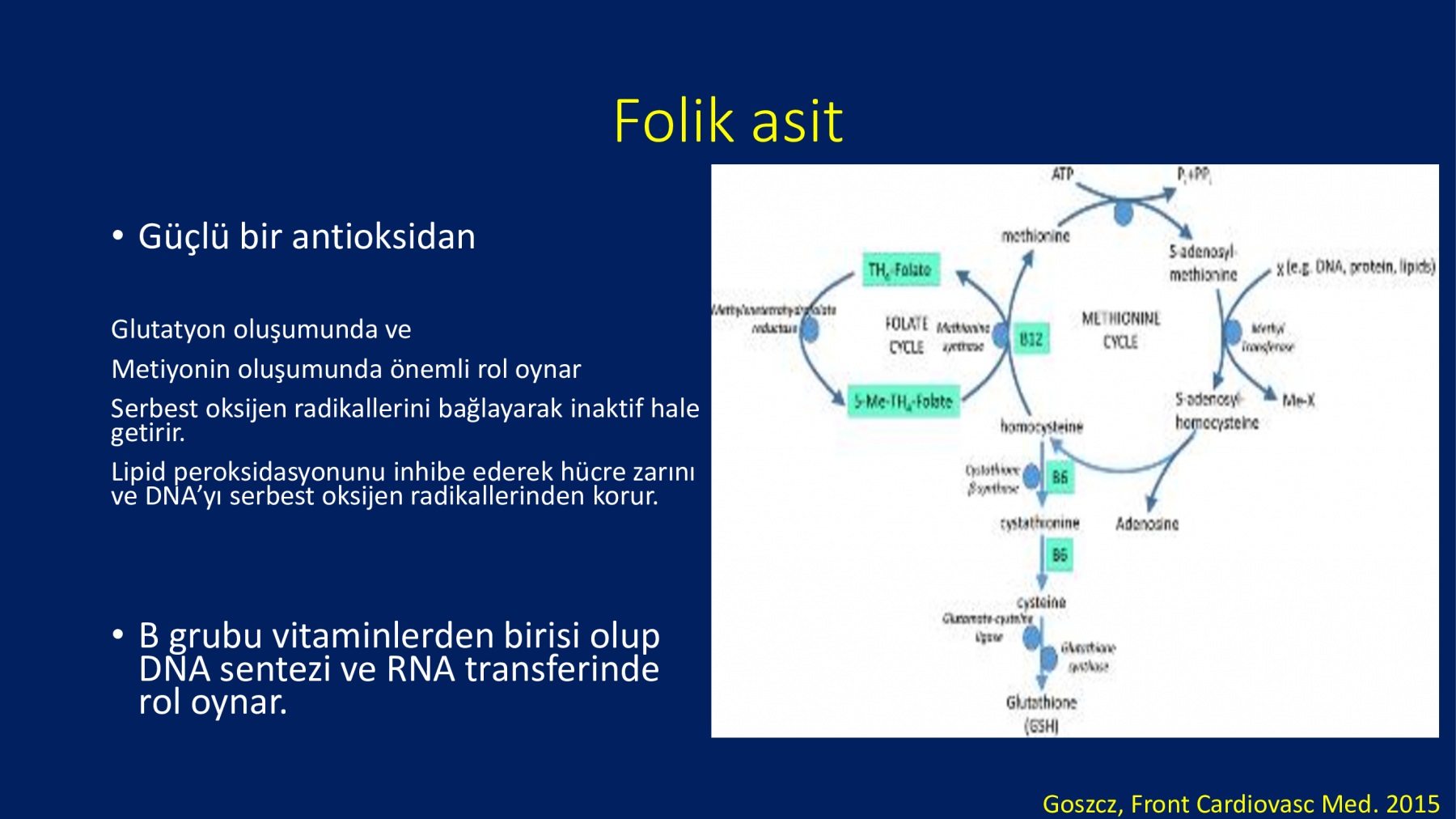 Erkek İnfertilitesinde Proxeed Plus