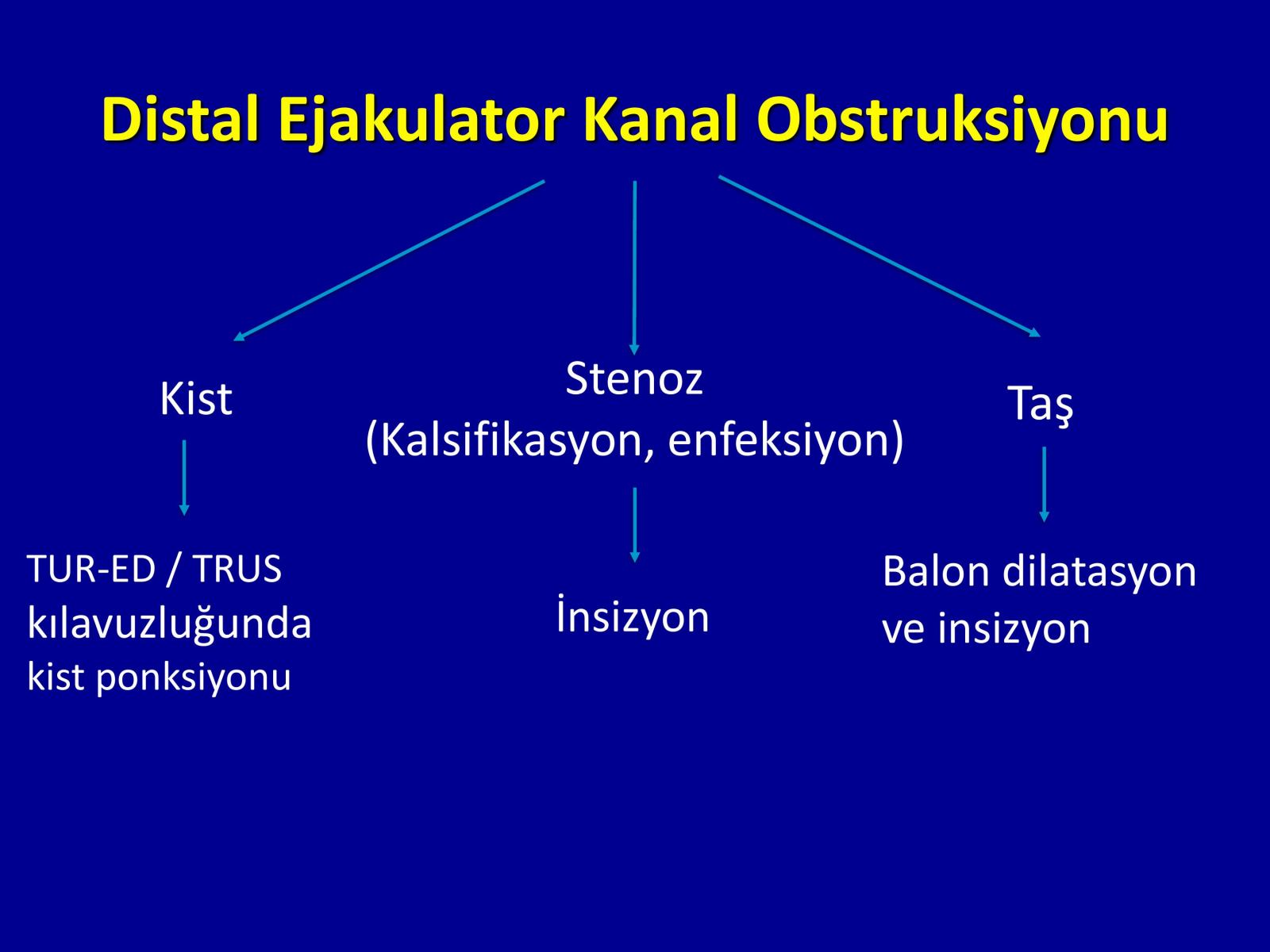 Erektil Disfonksiyon Tedavisi