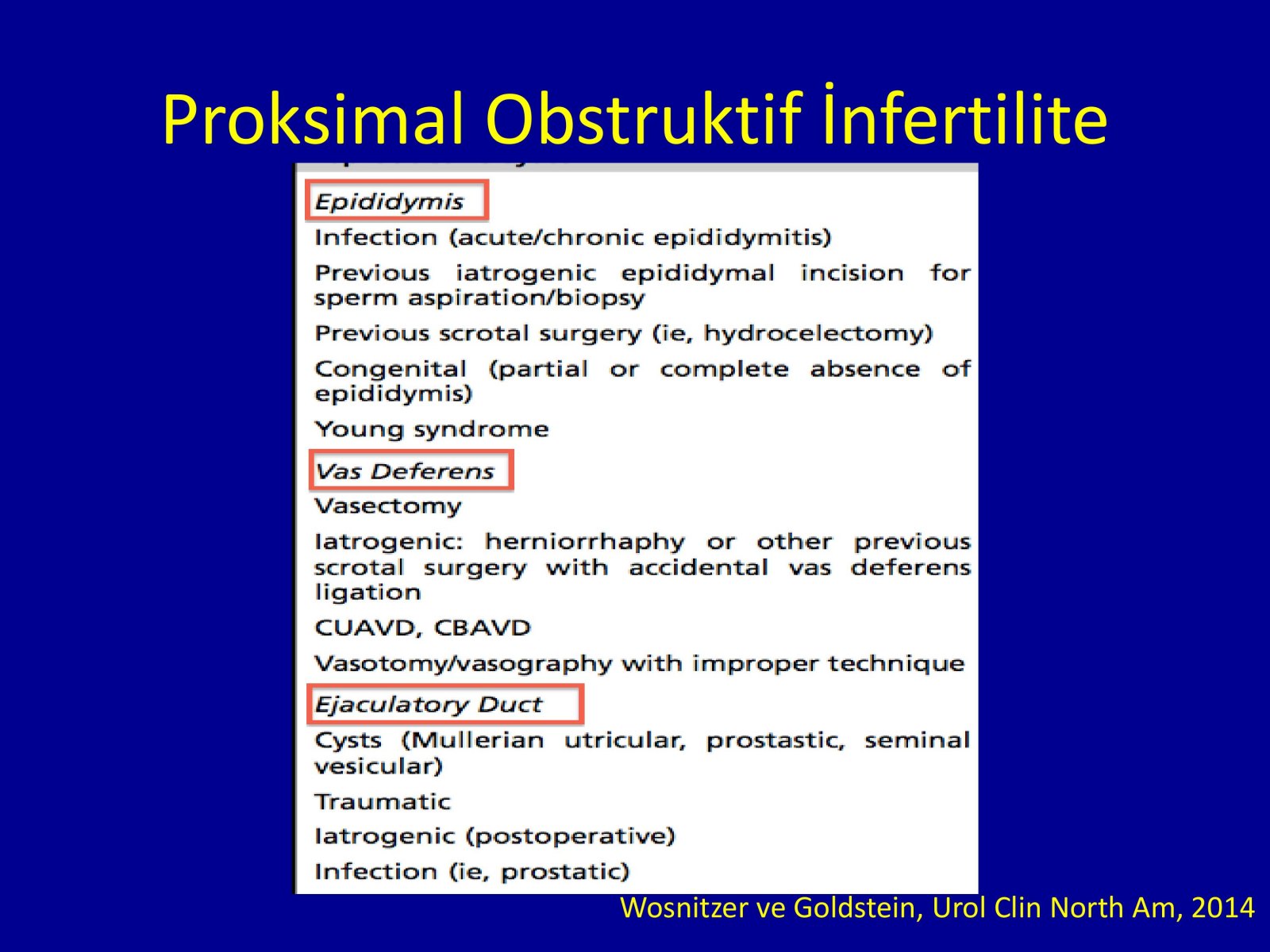 Erektil Disfonksiyon Tedavisi